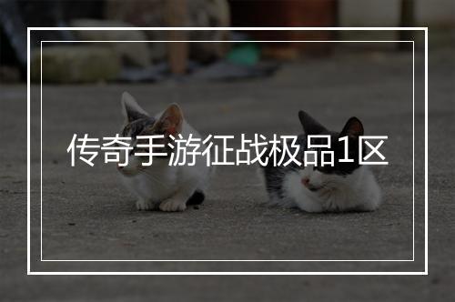 传奇手游征战极品1区