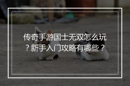 传奇手游国士无双怎么玩？新手入门攻略有哪些？