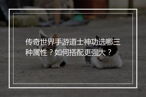 传奇世界手游道士神功选哪三种属性？如何搭配更强大？