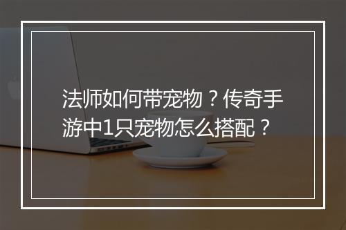 法师如何带宠物？传奇手游中1只宠物怎么搭配？