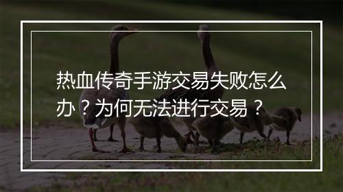 热血传奇手游交易失败怎么办？为何无法进行交易？