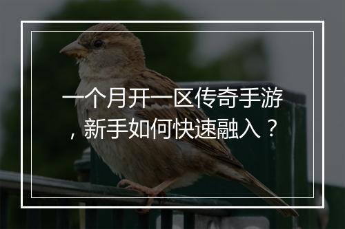 一个月开一区传奇手游，新手如何快速融入？