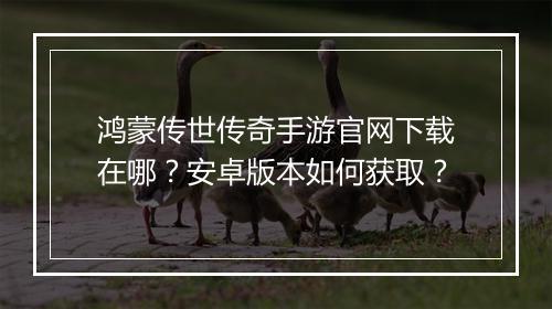 鸿蒙传世传奇手游官网下载在哪？安卓版本如何获取？