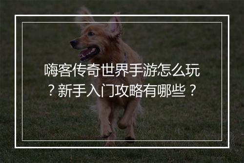 嗨客传奇世界手游怎么玩？新手入门攻略有哪些？