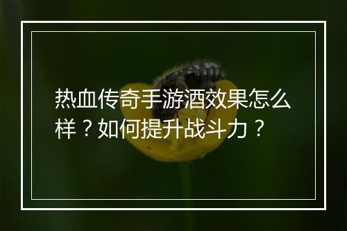 热血传奇手游酒效果怎么样？如何提升战斗力？