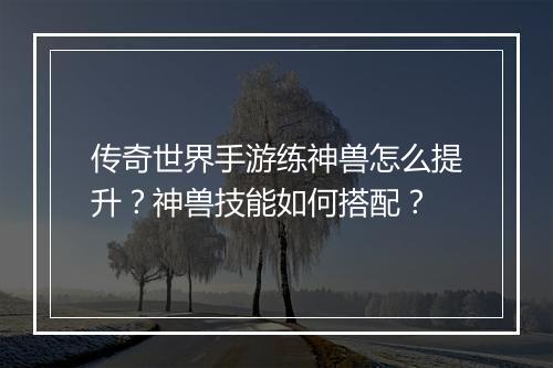 传奇世界手游练神兽怎么提升？神兽技能如何搭配？