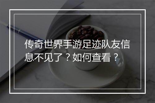 传奇世界手游足迹队友信息不见了？如何查看？