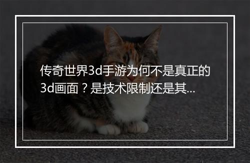 传奇世界3d手游为何不是真正的3d画面？是技术限制还是其他原因？