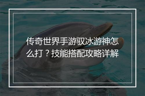 传奇世界手游驭冰游神怎么打？技能搭配攻略详解