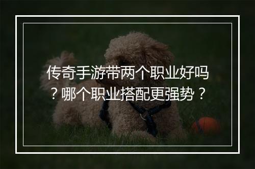 传奇手游带两个职业好吗？哪个职业搭配更强势？