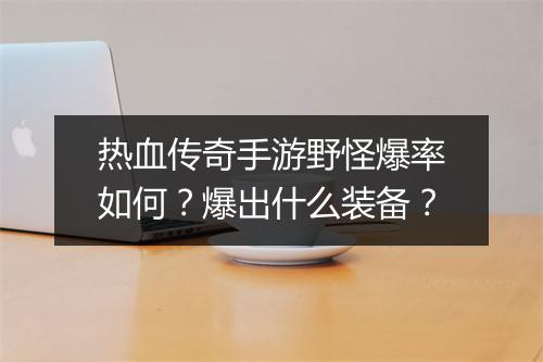 热血传奇手游野怪爆率如何？爆出什么装备？