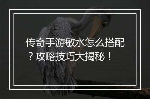传奇手游敏水怎么搭配？攻略技巧大揭秘！