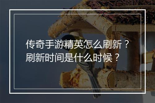 传奇手游精英怎么刷新？刷新时间是什么时候？