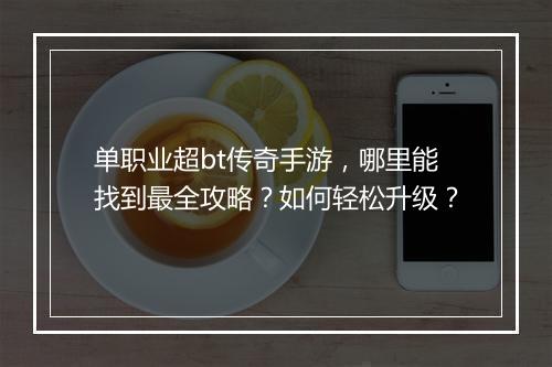 单职业超bt传奇手游，哪里能找到最全攻略？如何轻松升级？