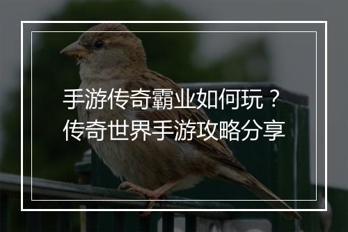 手游传奇霸业如何玩？传奇世界手游攻略分享