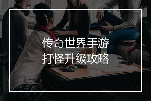 传奇世界手游打怪升级攻略