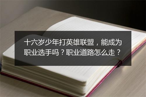 十六岁少年打英雄联盟，能成为职业选手吗？职业道路怎么走？