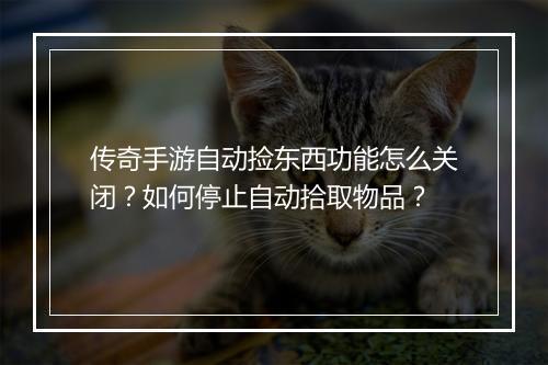传奇手游自动捡东西功能怎么关闭？如何停止自动拾取物品？