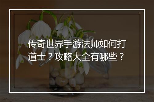 传奇世界手游法师如何打道士？攻略大全有哪些？