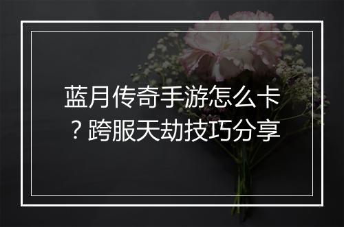 蓝月传奇手游怎么卡？跨服天劫技巧分享