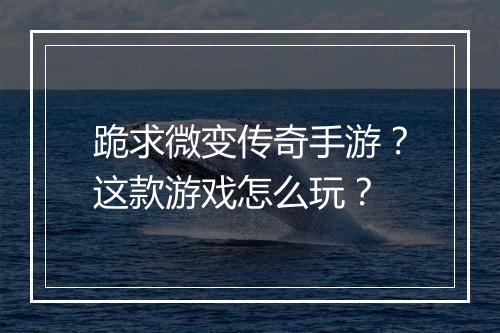 跪求微变传奇手游？这款游戏怎么玩？