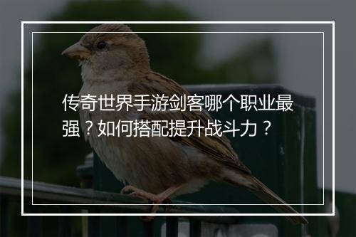 传奇世界手游剑客哪个职业最强？如何搭配提升战斗力？