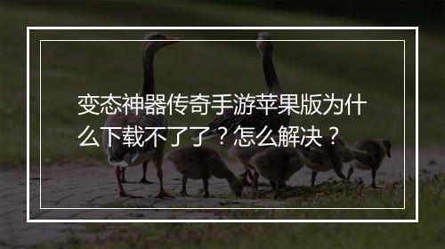 变态神器传奇手游苹果版为什么下载不了了？怎么解决？