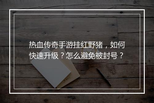热血传奇手游挂红野猪，如何快速升级？怎么避免被封号？