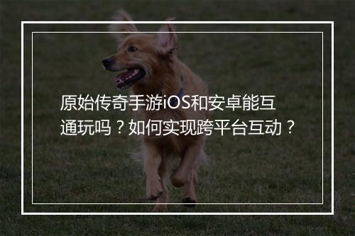 原始传奇手游iOS和安卓能互通玩吗？如何实现跨平台互动？
