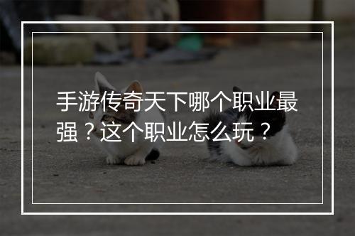 手游传奇天下哪个职业最强？这个职业怎么玩？