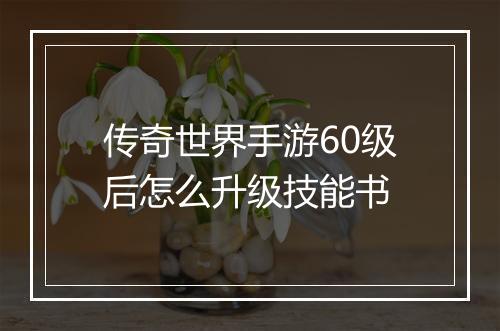 传奇世界手游60级后怎么升级技能书