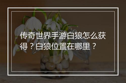 传奇世界手游白狼怎么获得？白狼位置在哪里？
