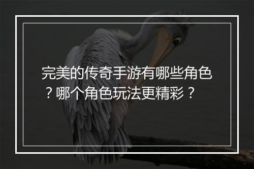 完美的传奇手游有哪些角色？哪个角色玩法更精彩？