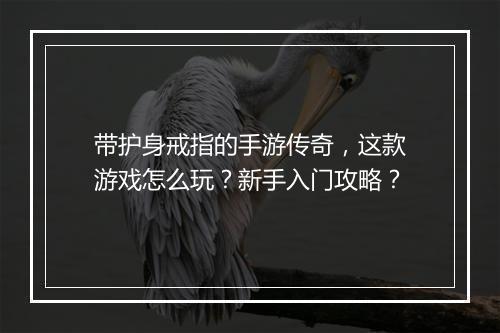 带护身戒指的手游传奇，这款游戏怎么玩？新手入门攻略？