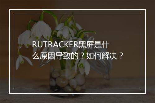 RUTRACKER黑屏是什么原因导致的？如何解决？