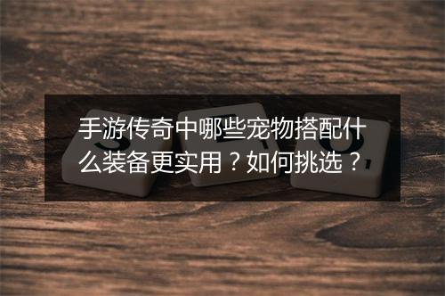手游传奇中哪些宠物搭配什么装备更实用？如何挑选？