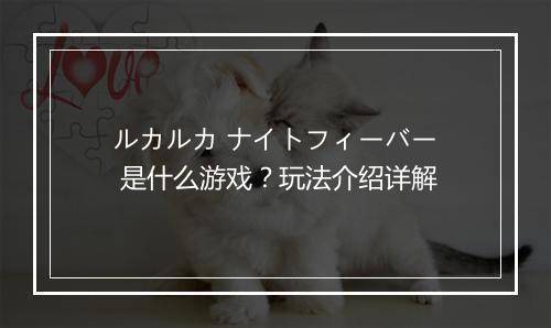 ルカルカ ナイトフィーバー 是什么游戏？玩法介绍详解