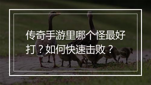 传奇手游里哪个怪最好打？如何快速击败？