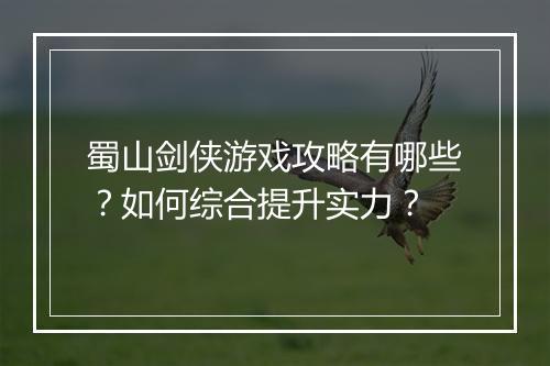 蜀山剑侠游戏攻略有哪些？如何综合提升实力？