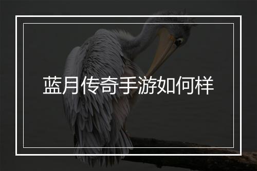 蓝月传奇手游如何样