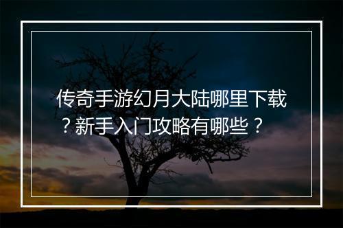 传奇手游幻月大陆哪里下载？新手入门攻略有哪些？