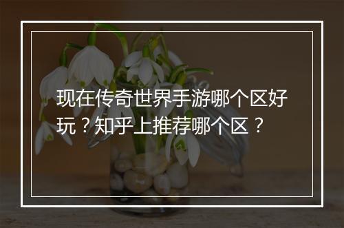现在传奇世界手游哪个区好玩？知乎上推荐哪个区？