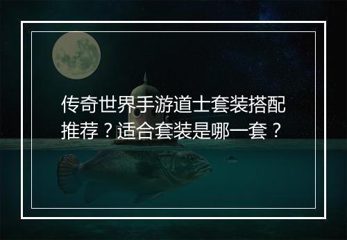 传奇世界手游道士套装搭配推荐？适合套装是哪一套？