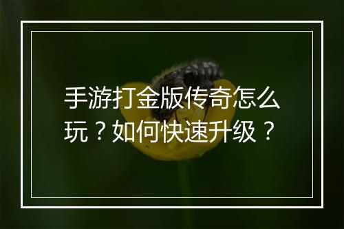 手游打金版传奇怎么玩？如何快速升级？