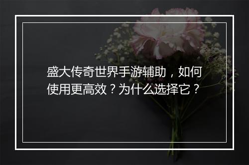 盛大传奇世界手游辅助，如何使用更高效？为什么选择它？