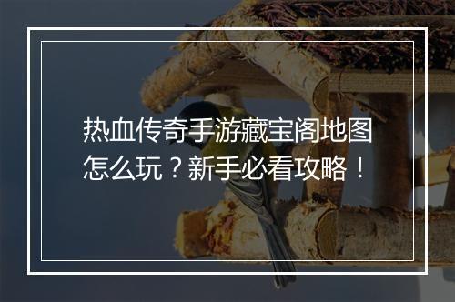 热血传奇手游藏宝阁地图怎么玩？新手必看攻略！