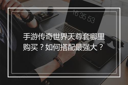 手游传奇世界天尊套哪里购买？如何搭配最强大？