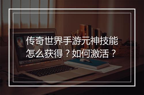 传奇世界手游元神技能怎么获得？如何激活？