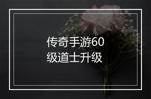 传奇手游60级道士升级