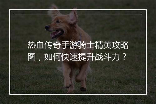 热血传奇手游骑士精英攻略图，如何快速提升战斗力？